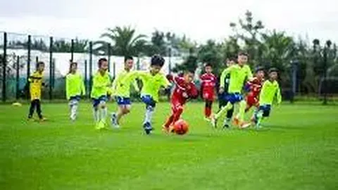 问鼎娱乐官网h5 产品 093128 bsv